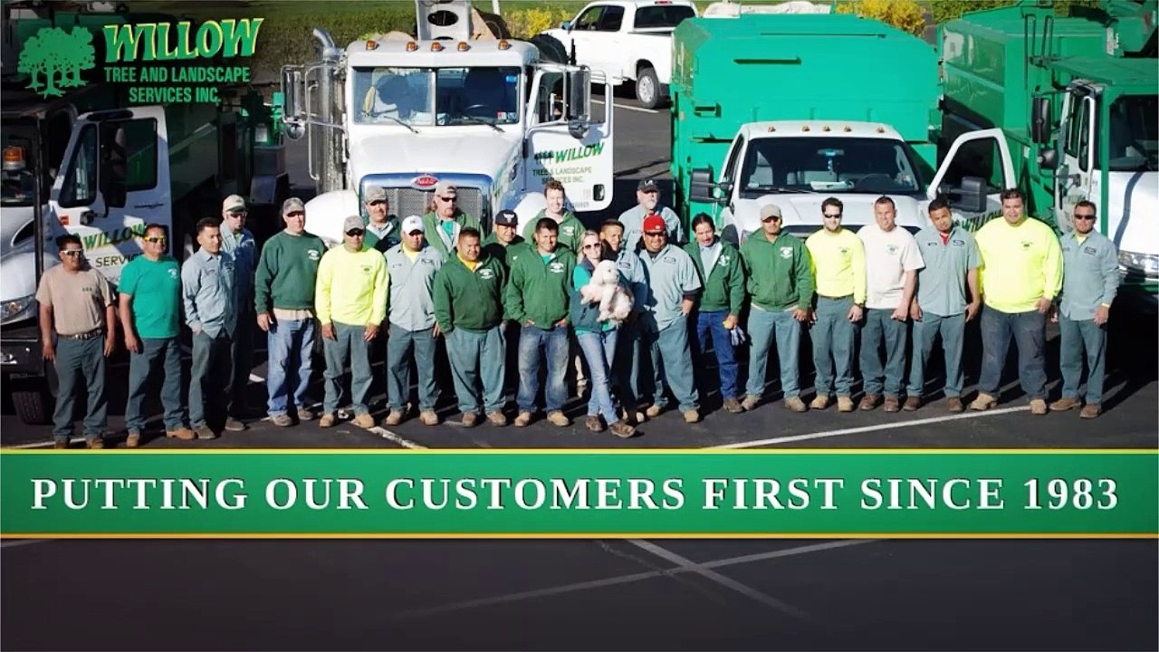 Willow Tree & Landscaping Services In Montgomery County