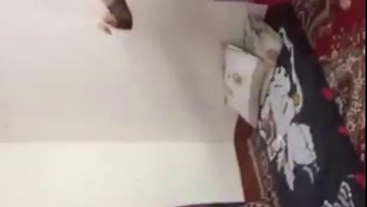 Hot Indian Bhabhi Dance In Home