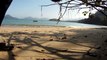 Vamos Mergulhar, navegar, Farol, nas ondas de Ubatuba, Litoral Norte, Brasil, 2016, mares bravos, Marcelo Ambrogi, (23)