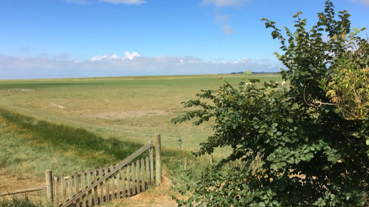 French cuisine à l Écomusée de la Baie : jazz en Baie se poursuit