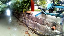 Acqua Bike, 4k, Ultra HD, Pedalando com a  Mtb Aquática, Inter Praias, nas trilhas da Enseada e Pereque Mirim, Ubatuba,SP, Brasil, Litoral Norte, 2016, (12)