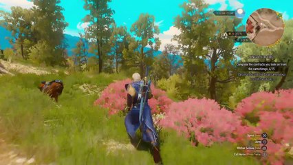 Witcher 3 Blood and Wine Part 12