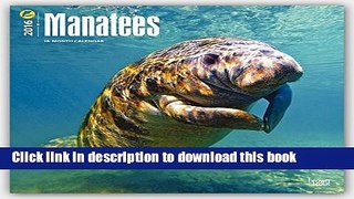 Ebook Manatees 2016 Square 12x12 (Multilingual Edition) Free Online