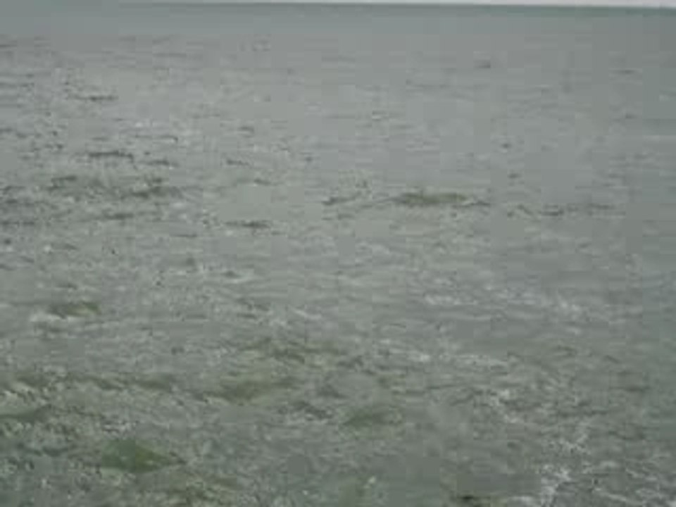 MOV04387