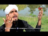 Taiba K Nazarey - Muhammad Faizan Ali Faizi - New Naat 2016