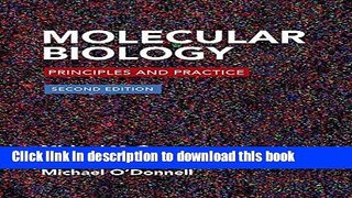 Books Molecular Biology: Principles and Practice Free Online