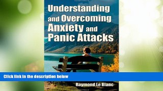 Big Deals  Understanding and Overcoming Anxiety and Panic Attacks. A Guide for You and Your