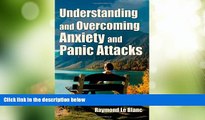 Big Deals  Understanding and Overcoming Anxiety and Panic Attacks. A Guide for You and Your