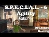 Agility S.P.E.C.I.A.L. (6) - Fallout 4