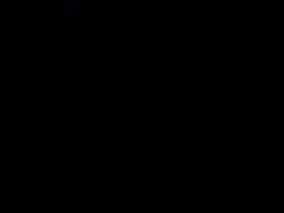 MOV04376