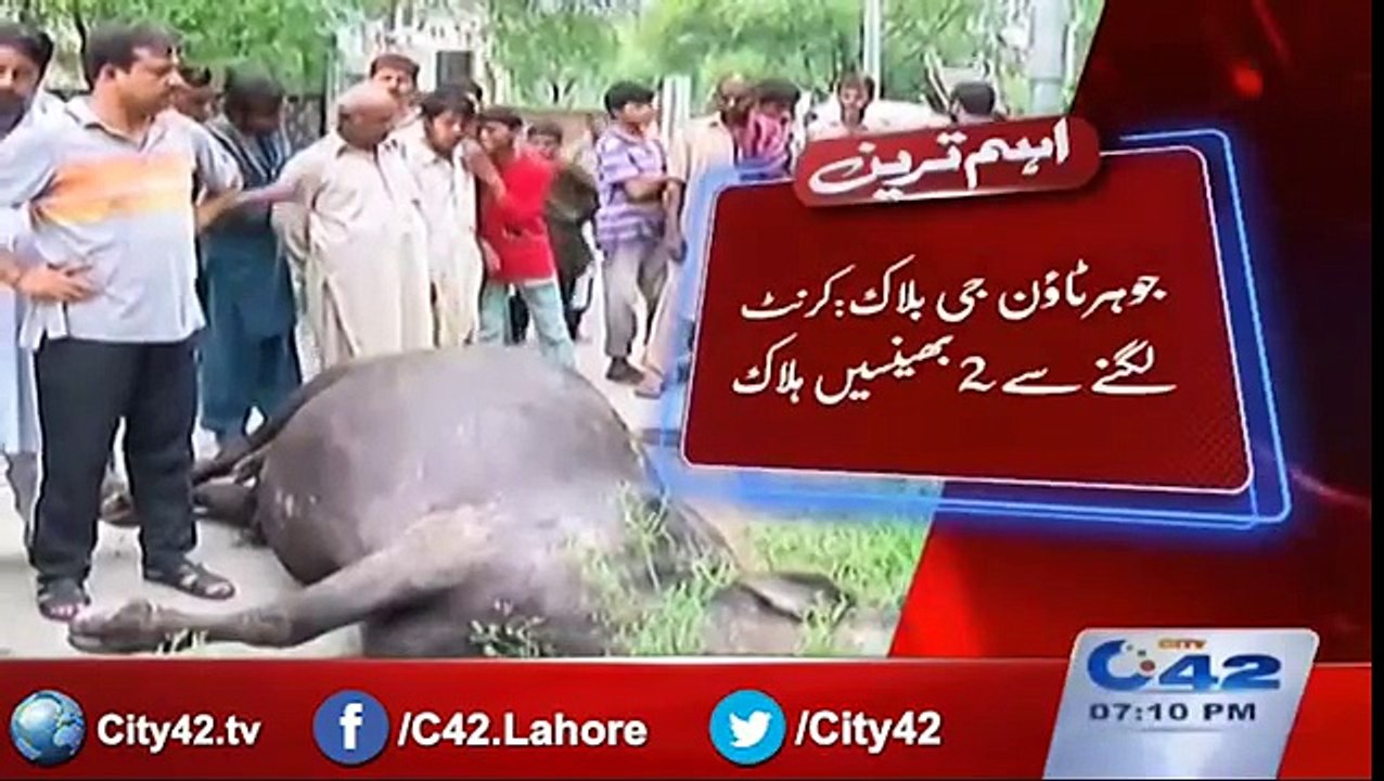 PTCL poles also detrimental after LESCO poles