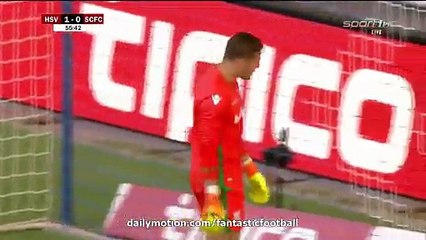 All Goals & Highlights - Hamburger SV 1-0 Stoke City - 06.08.2016 HD