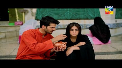 Laaj Eds 3 L    HUM TV Drama 6 Aug 2016