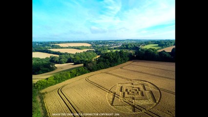 Crop circle Sparticles Wood, Nr Chaldon, Surrey August 3, 2016.