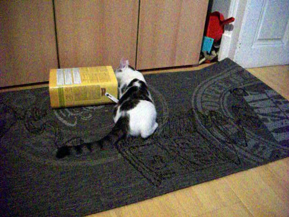 Vinzent am 03.08.2016