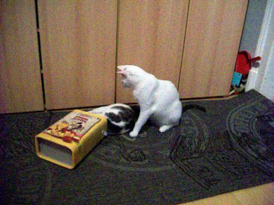 Vinzent am 03.08.2016