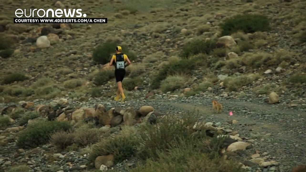 Liebe unter langläufern: extremsportler adoptiert treue hündin