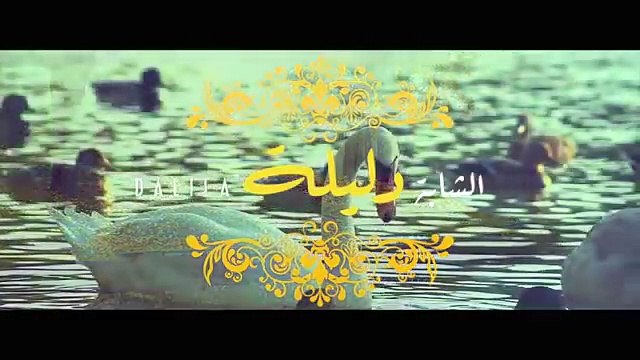 clip-cheba-dalila-2015-ya-galbi-hram