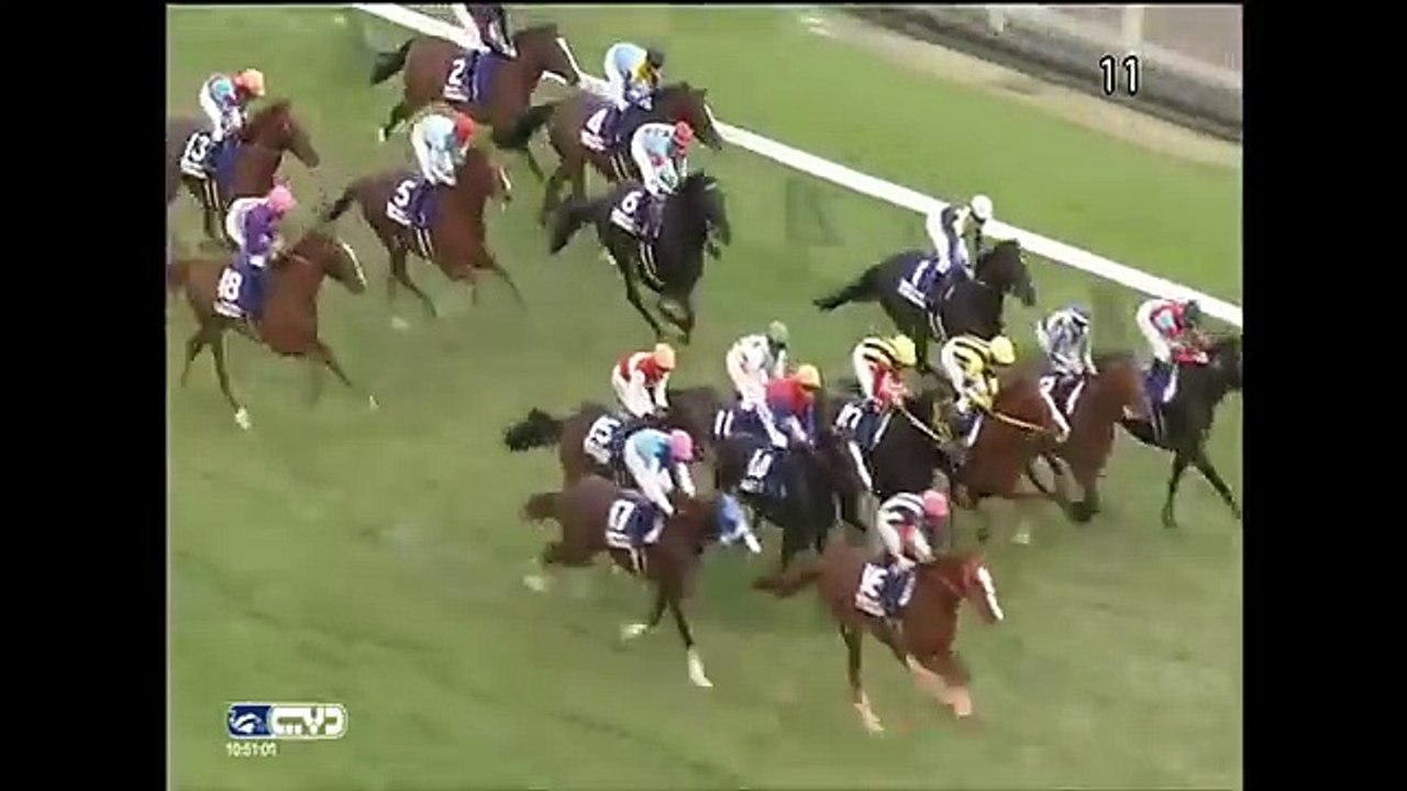 2015.11.29 Japan Cup - Shonan Pandora