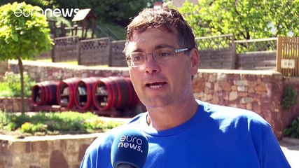 Paloznak Jazz Picnic, un festival entre viñedos como ejemplo de promoción económica