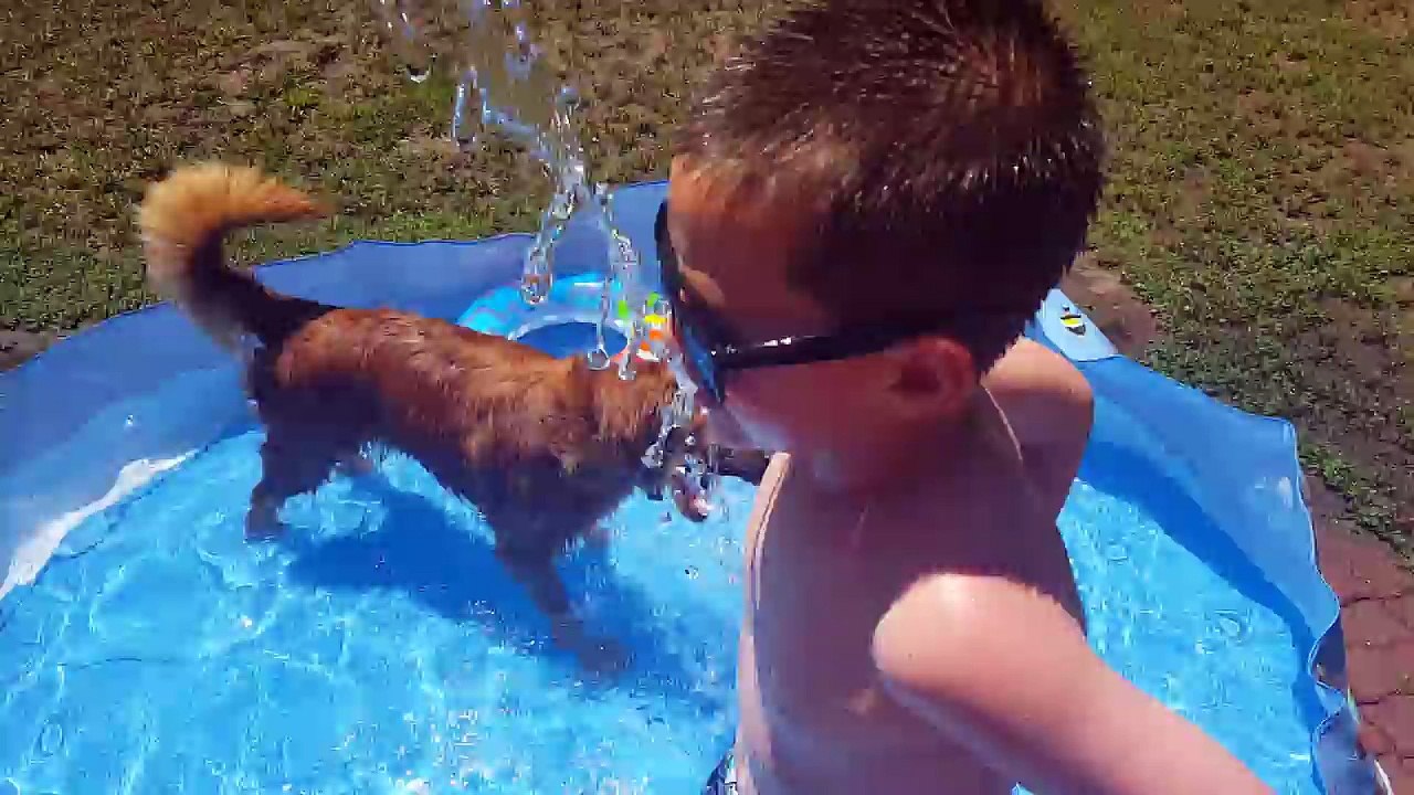 Swimming 2016