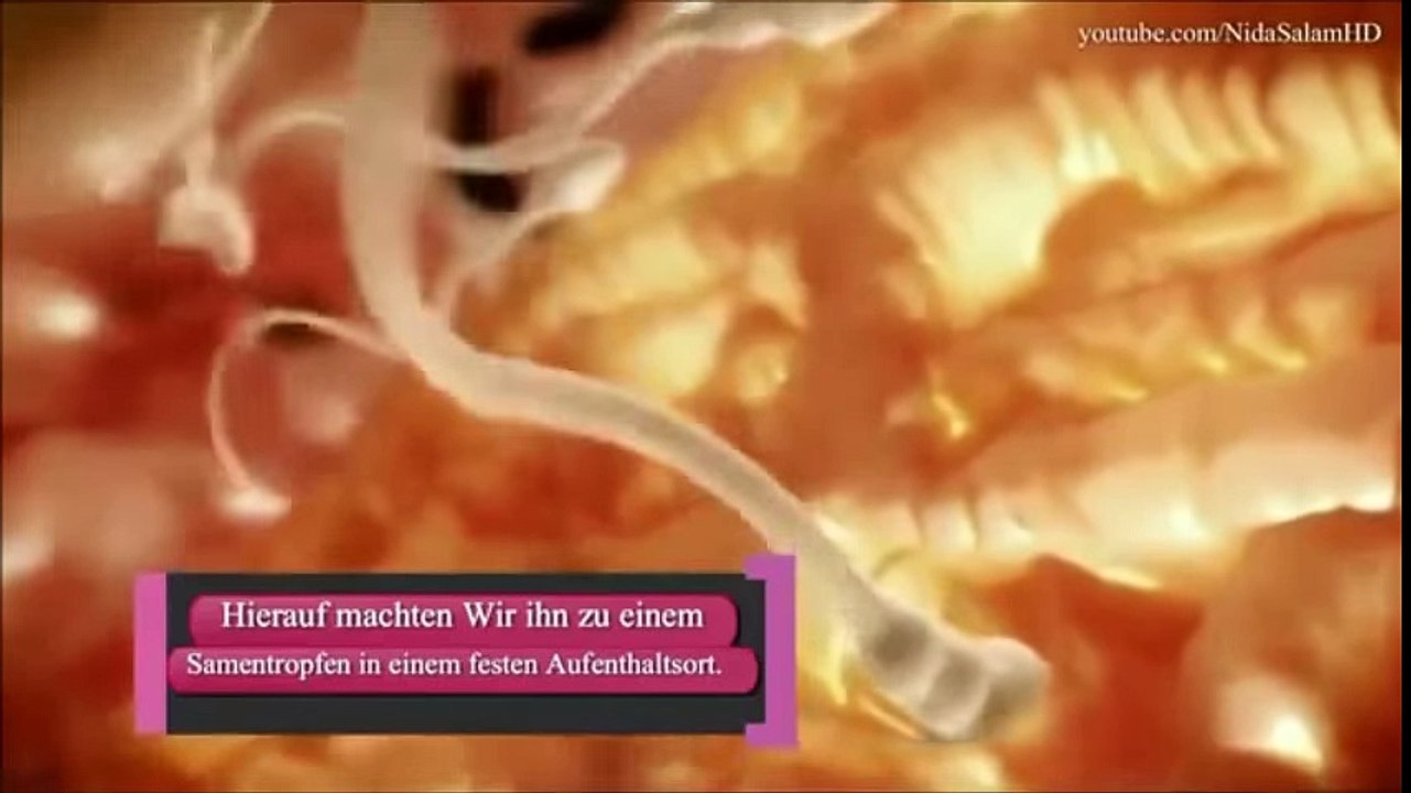 Beweis das ISLAM die Wahrheit ist !!!