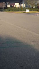 Crow Plays with a Blue Ball