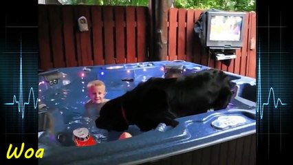 Dog And Baby Take A Swim Very Funny Time