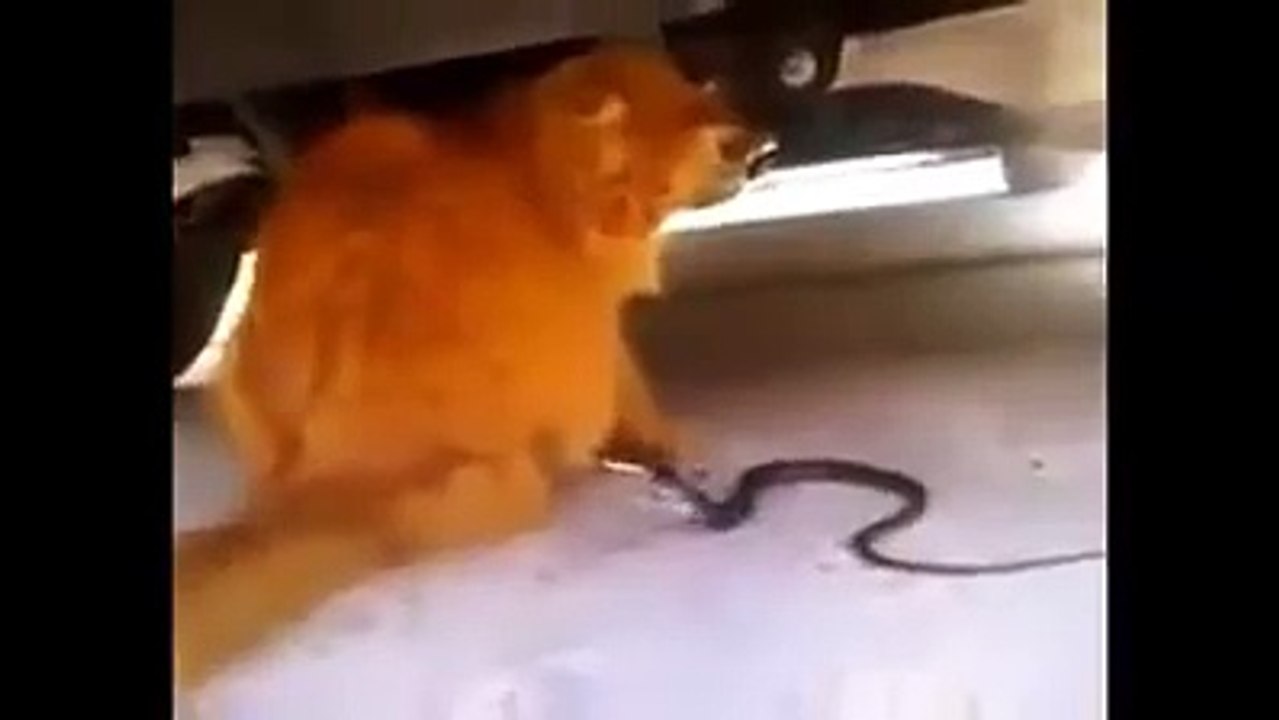 God’s Workmanship - Mark Batterson