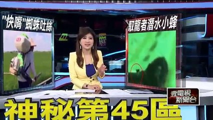 「馭龍者潛水小蜂」　台灣發現新物種 20130826