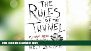 Big Deals  The Rules of the Tunnel: A Brief Period of Madness  Free Full Read Most Wanted