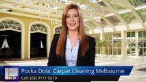 Pocka Dola: Carpet Cleaning Melbourne Merlynston Wonderful5 Star Review by nicholas w.