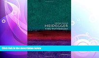 different   Heidegger: A Very Short Introduction