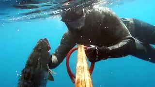 ПО нырялка в Израильских водах - Diving and spearfishing in Mediterranean sea