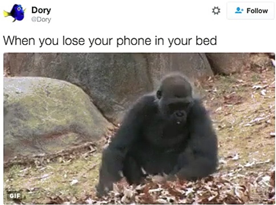 WHEN YOU LOSE YOUR PHONE IN BED