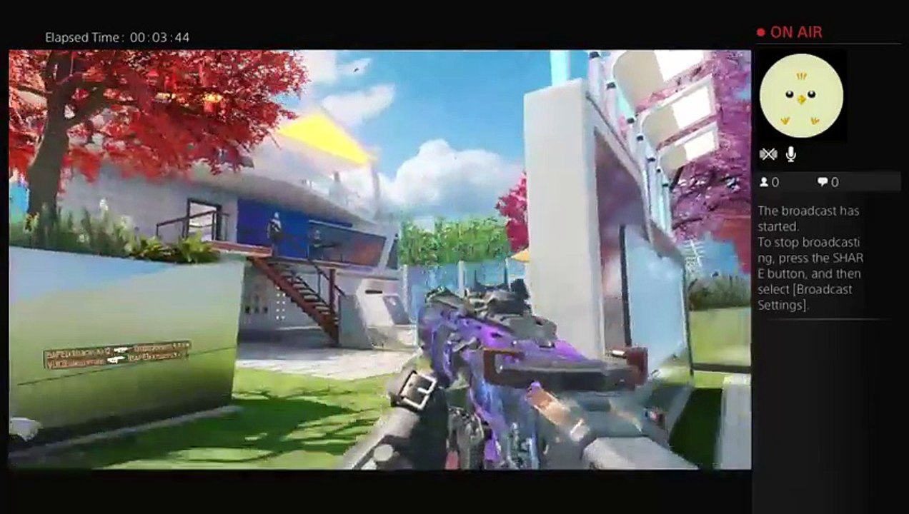 The n00b