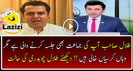 See How News Caster Insulting Talal Chaudhary