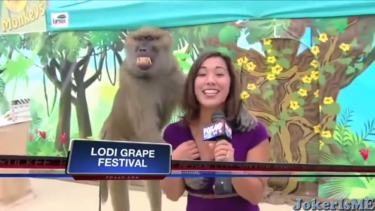 Funny videos - Funniest laughing bloopers ever