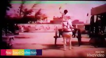 Kaifi - Sultan Rahi - Bahar clip film WAQT DA BADSHAH 1979