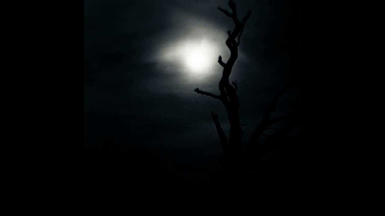 Nine Covens - ...on the Coming of Darkness (full album)