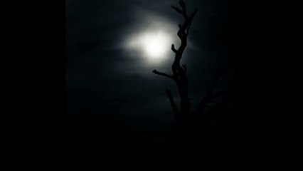 Nine Covens - ...on the Coming of Darkness (full album)
