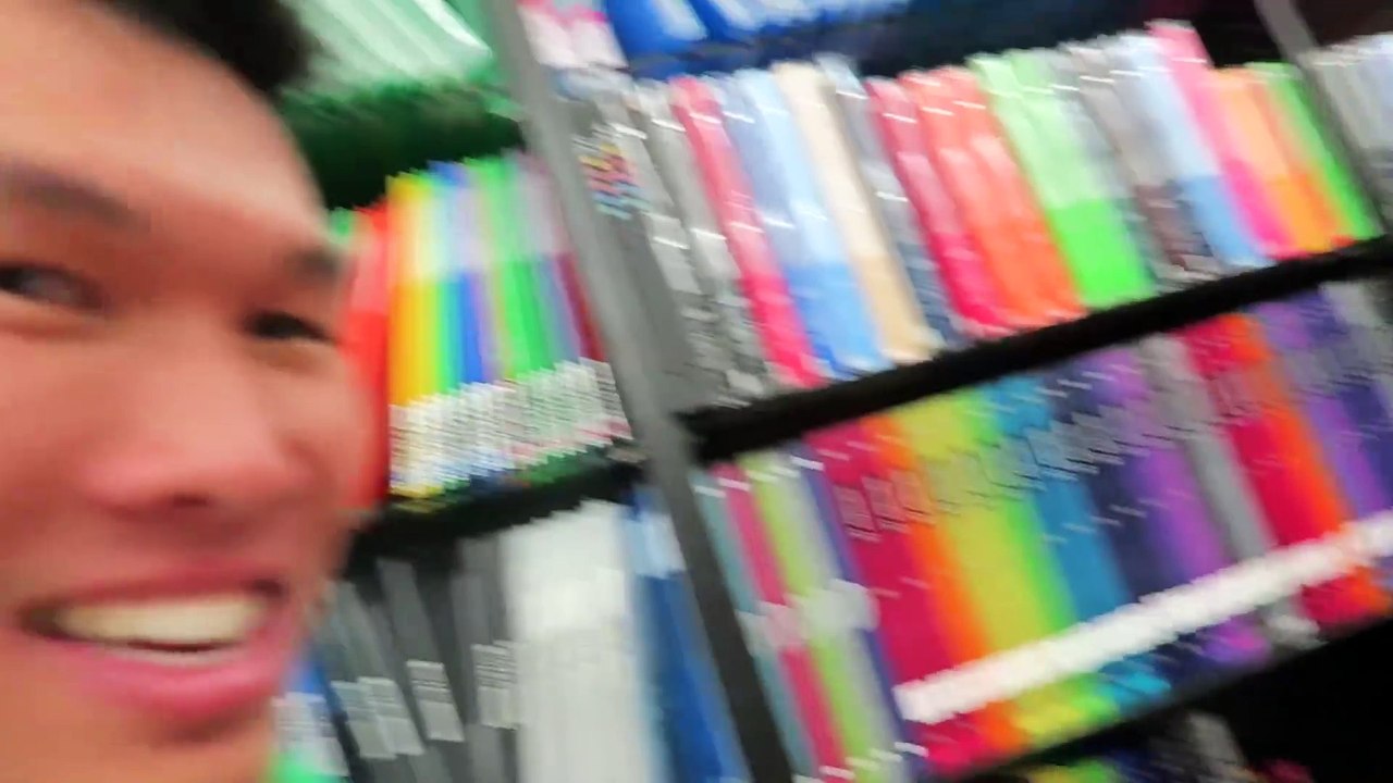 GOT NEW CORGI PUPPIES! - Life After College  Ep. 438 !