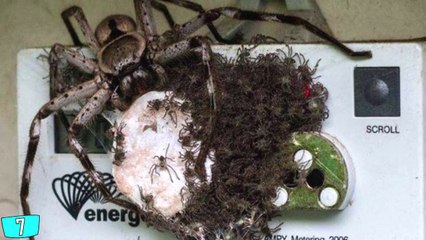 10 Photos That Will Make You Feel UNEASY
