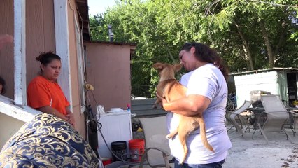 Hope For Paws  Rescue Homeless Puppies from Under House !