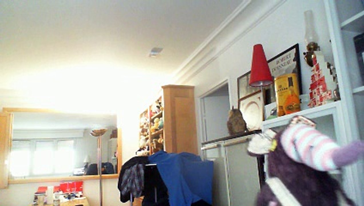 Wiwi muppetshowise "true sorry" d'Ibrahim Maalouf