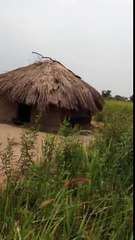 Visiting a Community Environment and Conservation Fund in Uganda