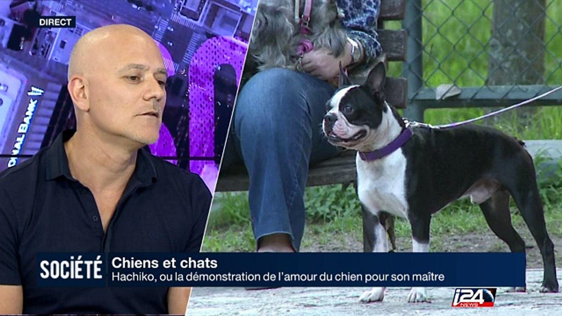 Chiens Hachiko Ou La Démonstration De Lamour Du Chien Pour Son Maître