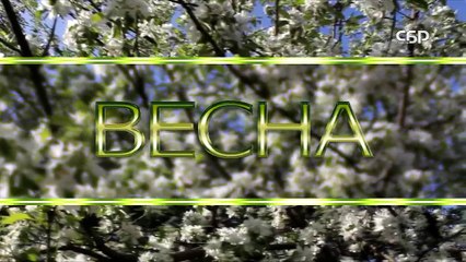 Прогноз погоды на 07 04 2016