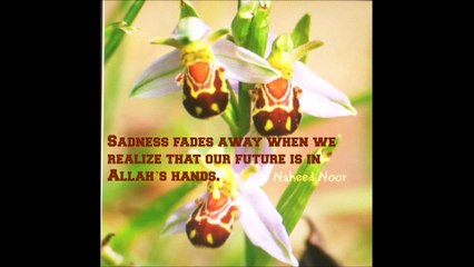 Surah Baqarah Translation &Tafseer part 6