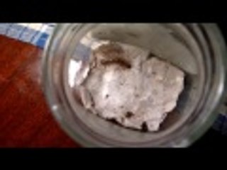 10 Nasty Creatures That Can Live In Your Home & 25 hf4hs